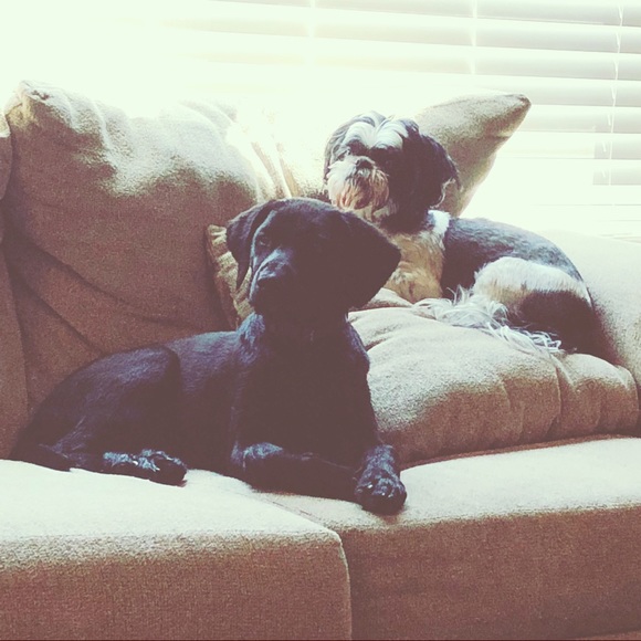 Meet your Posher, Amanda - Picture 1 of 1